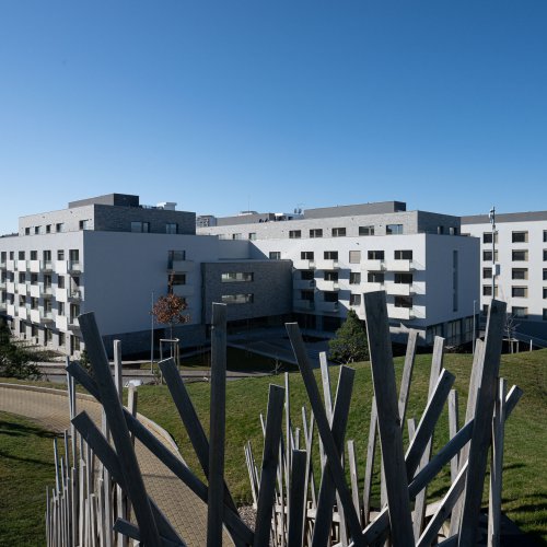 Slavnostní otevření NCDP